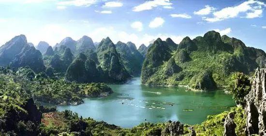 拯救穆尔小马
