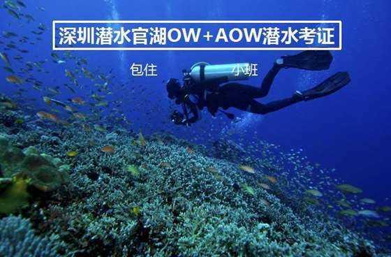 南沙起势加速 项目“满弓”推进